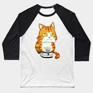 Flip Flop Cat Baseball T-Shirt